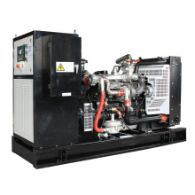 High quality 80kw biogas engine generator price